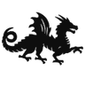 Your Company